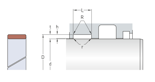 Направляющее кольцо RGR 63X68X9.7-PF (SKF)