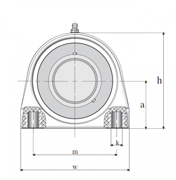 Узел в сборе из полимерного корпуса и нержавеющего подшипника MUCTBL 206 (ANB)